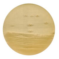 ANTIBIOTIC AGAR NO. 1 GROVE AND RANDALL